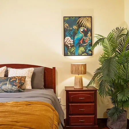 Pitaya Holiday home *